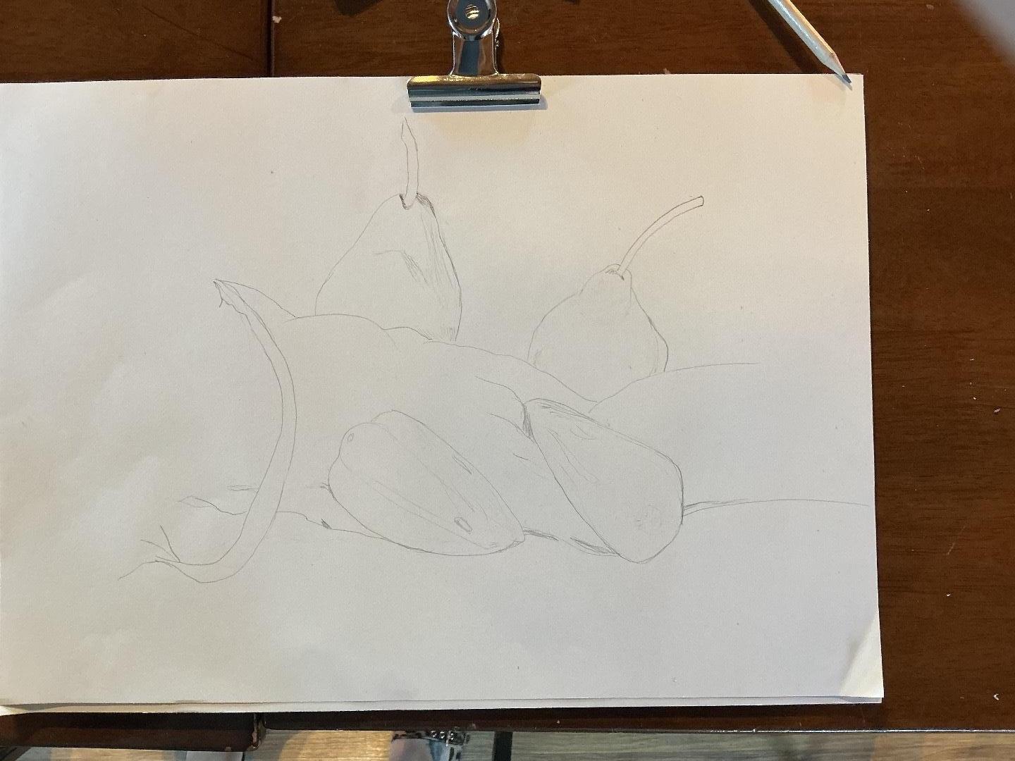 Sketch Club