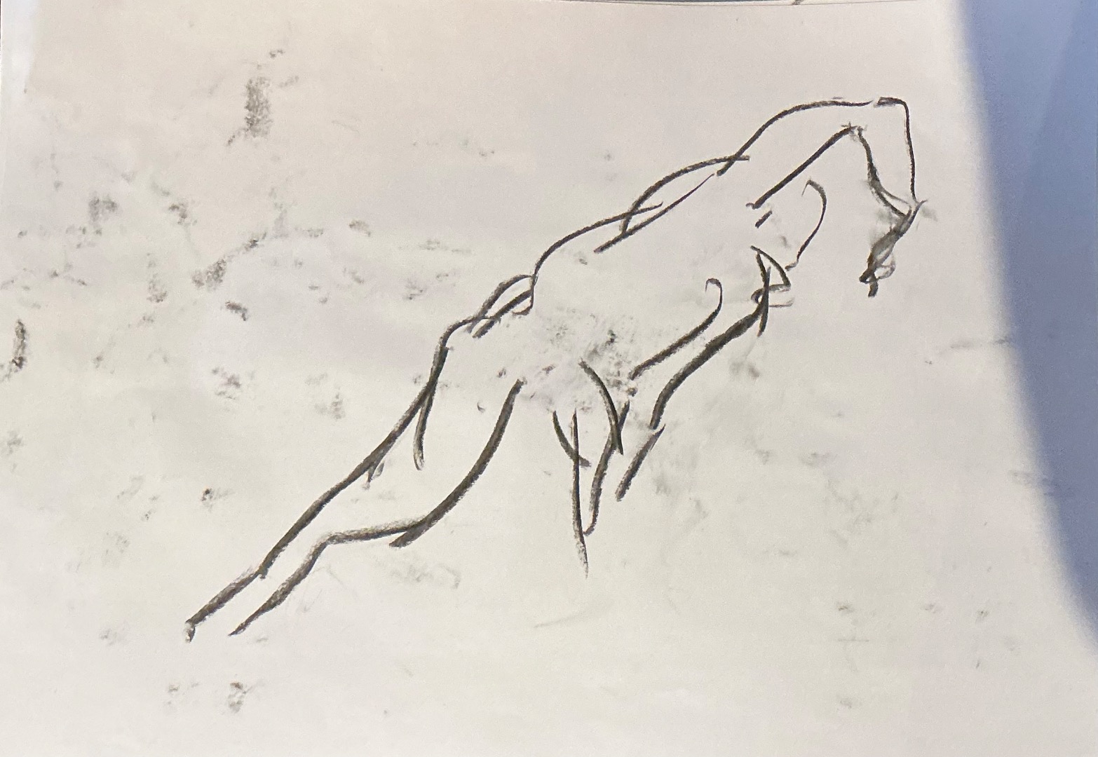 Life Drawing