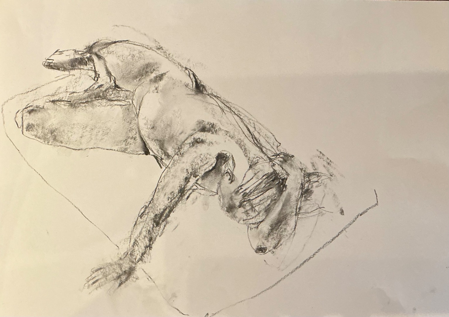 Life Drawing