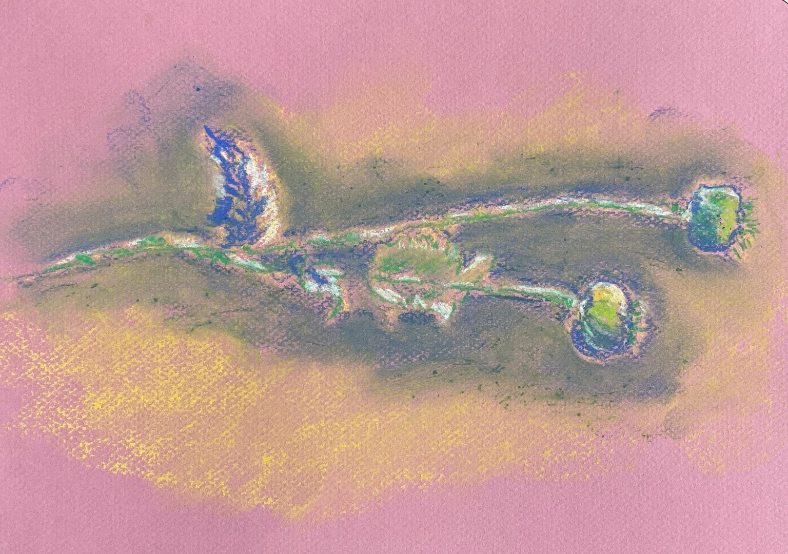 Art In The Garden, Greener Kirkcaldy, Soft Pastel