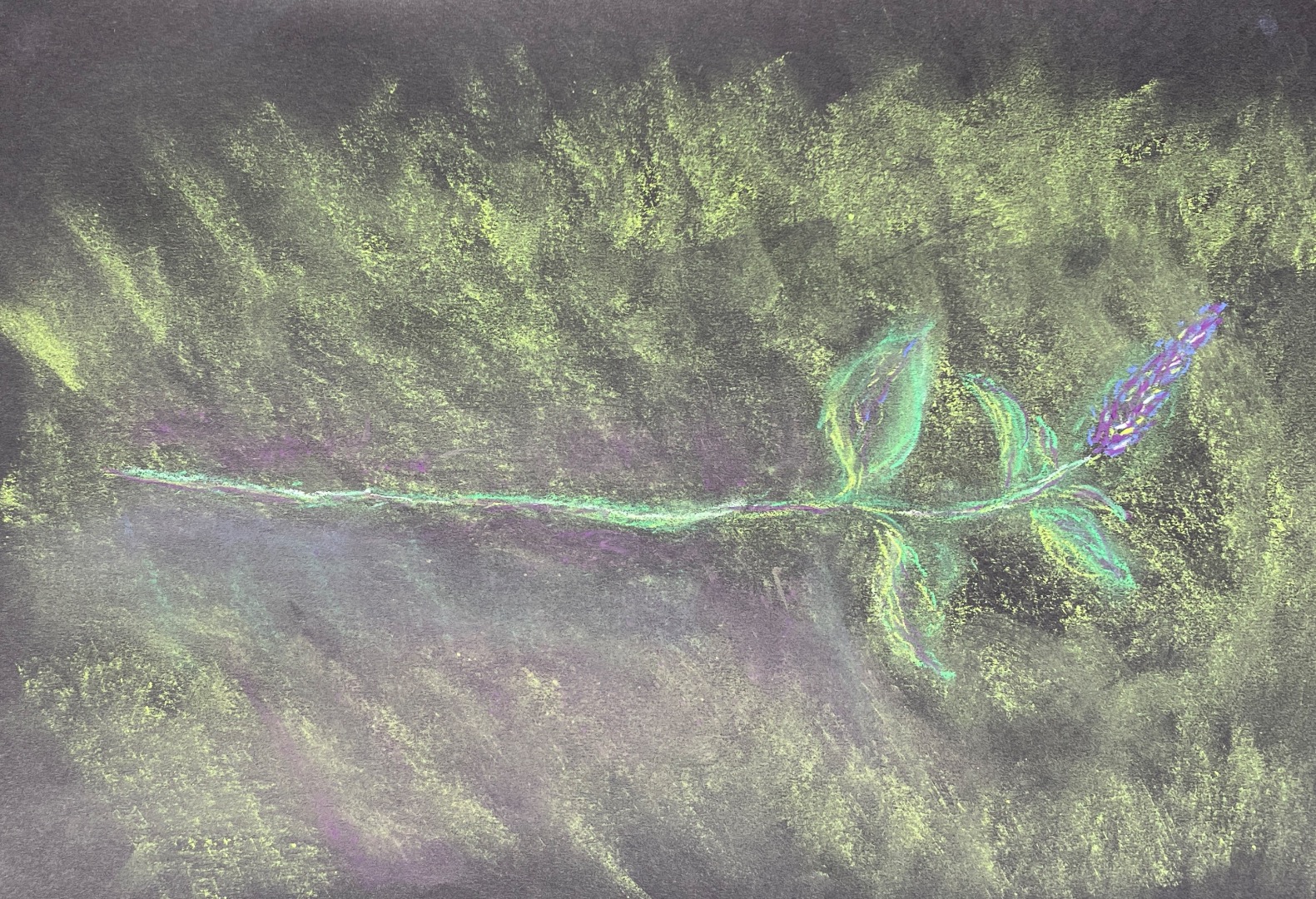 Art In The Garden, Greener Kirkcaldy, Soft Pastel