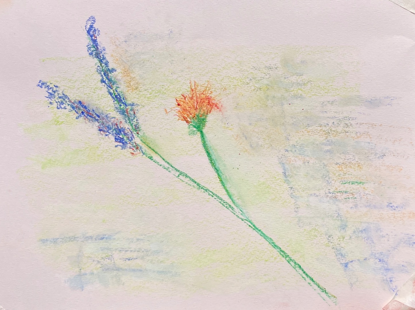 Art In The Garden, Greener Kirkcaldy, Soft Pastel