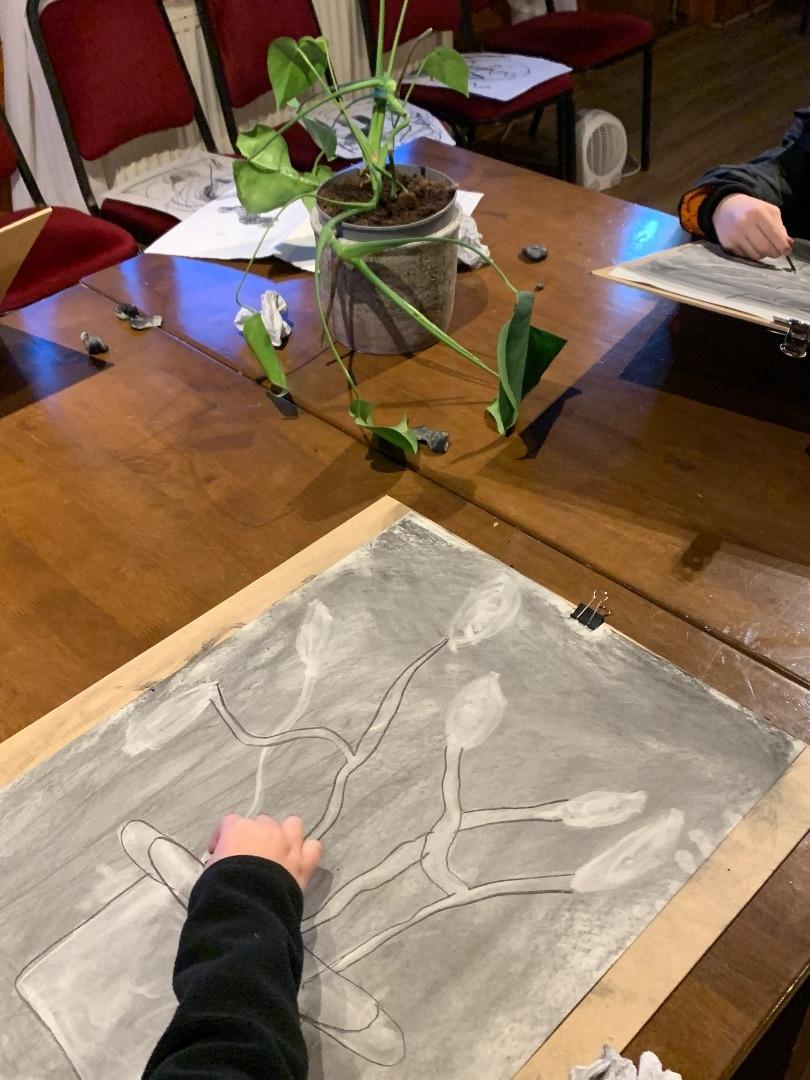 Charcoal House Plants, Kids Club