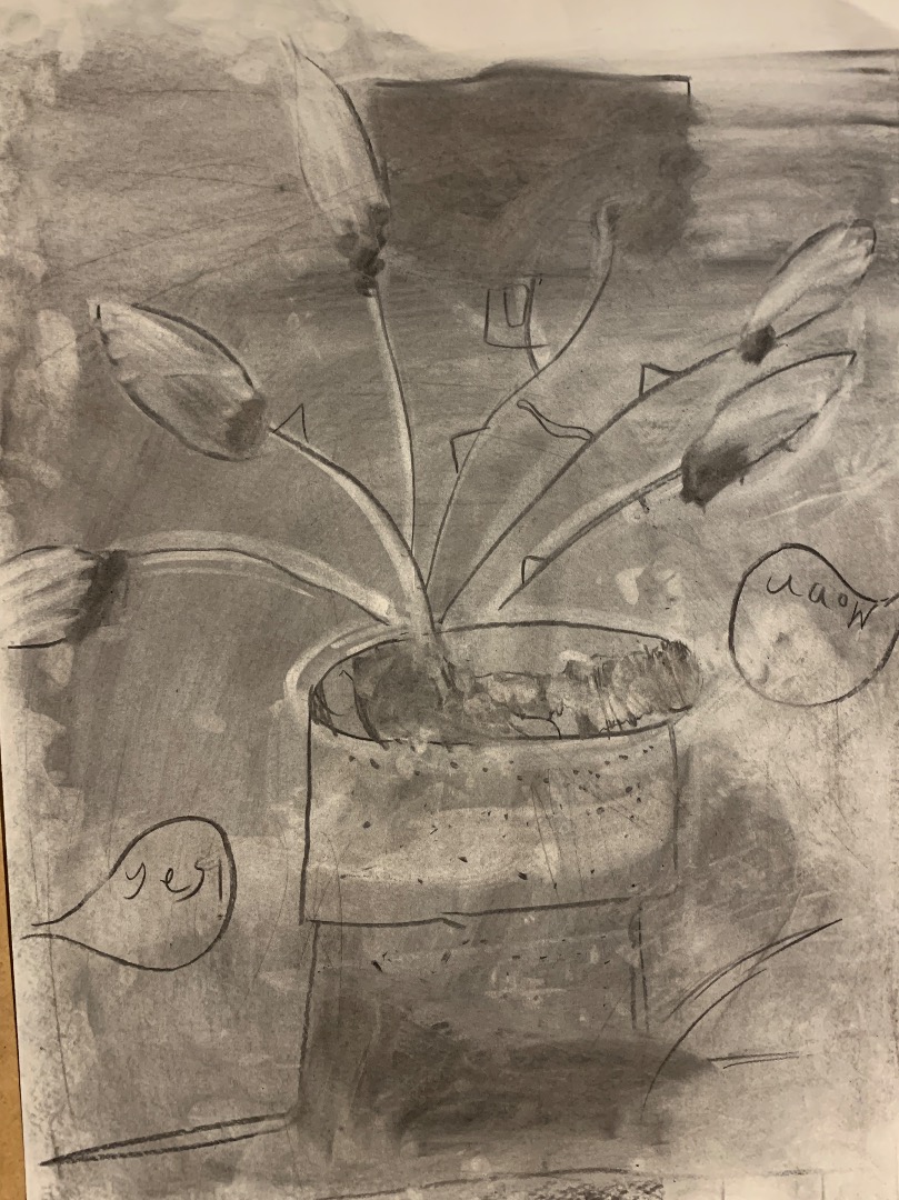 Charcoal House Plants, Kids Club