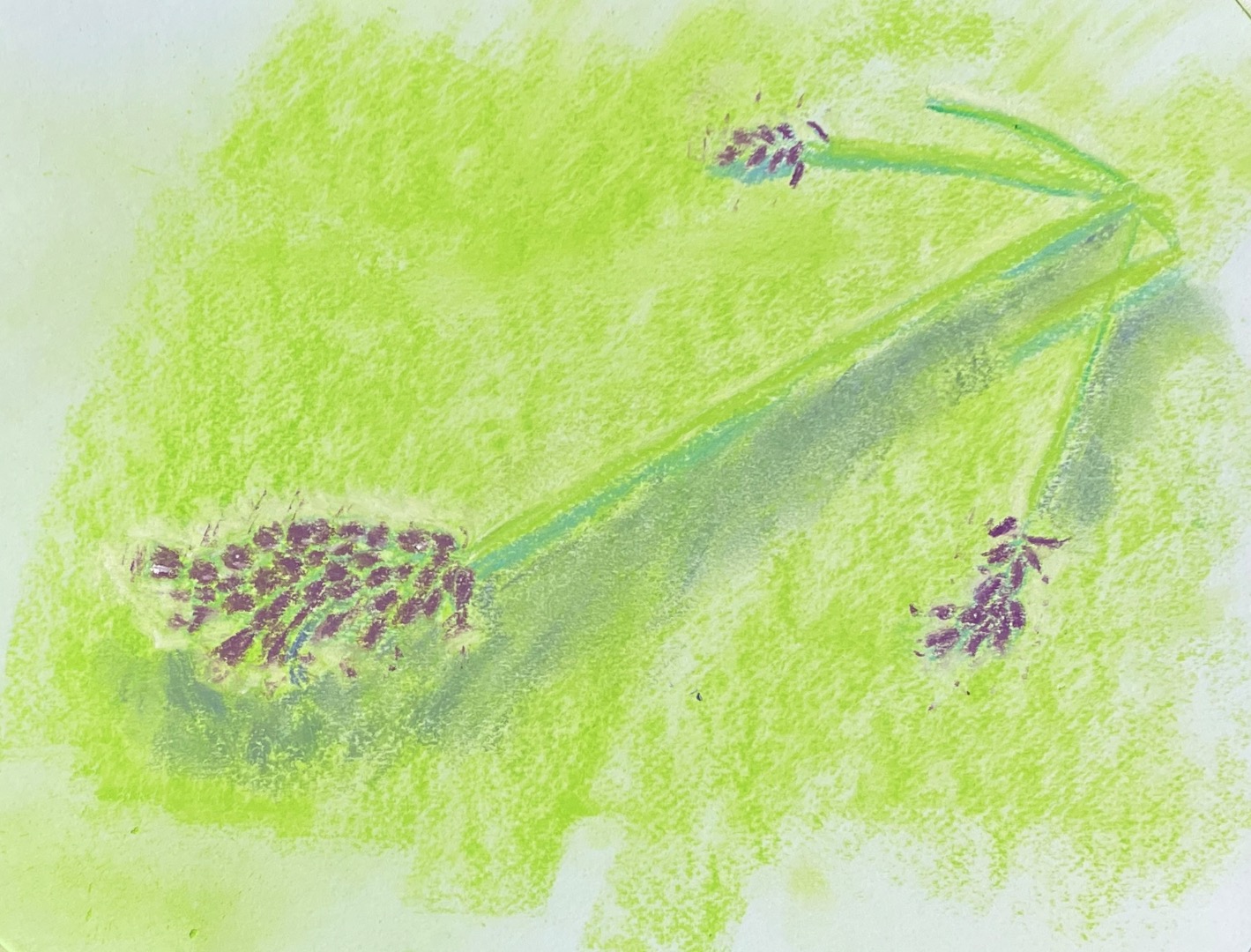 Art In The Garden, Greener Kirkcaldy, Soft Pastel