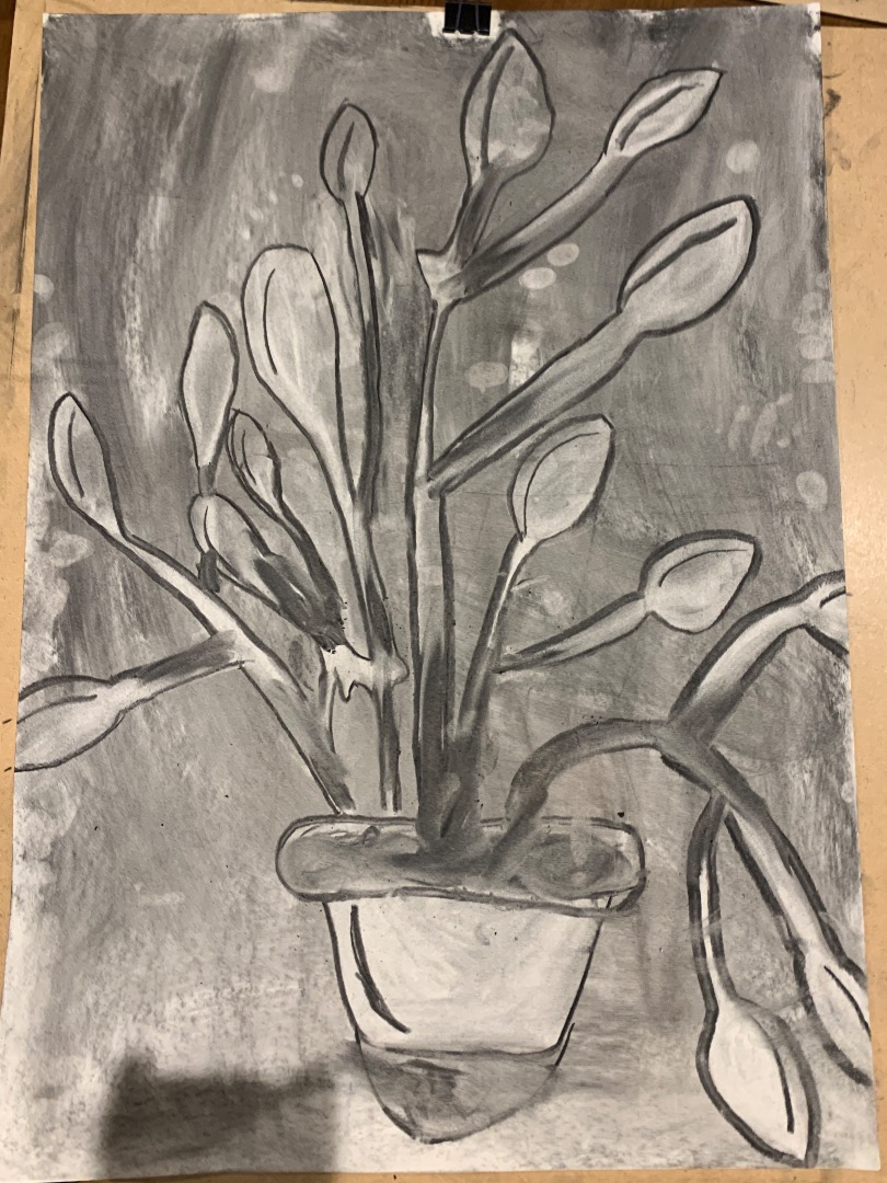 Charcoal House Plants, Kids Club