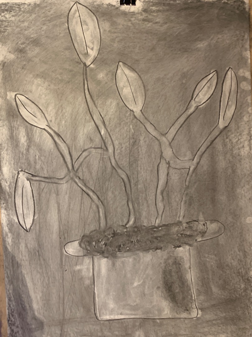Charcoal House Plants, Kids Club