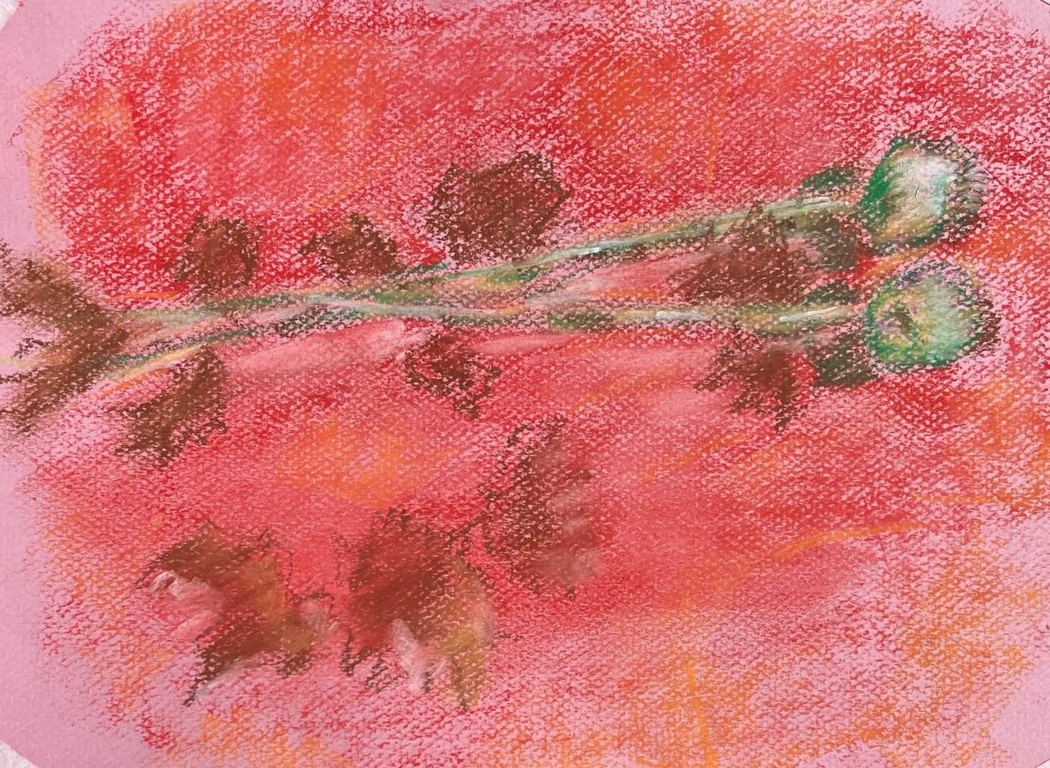 Art In The Garden, Greener Kirkcaldy, Soft Pastel