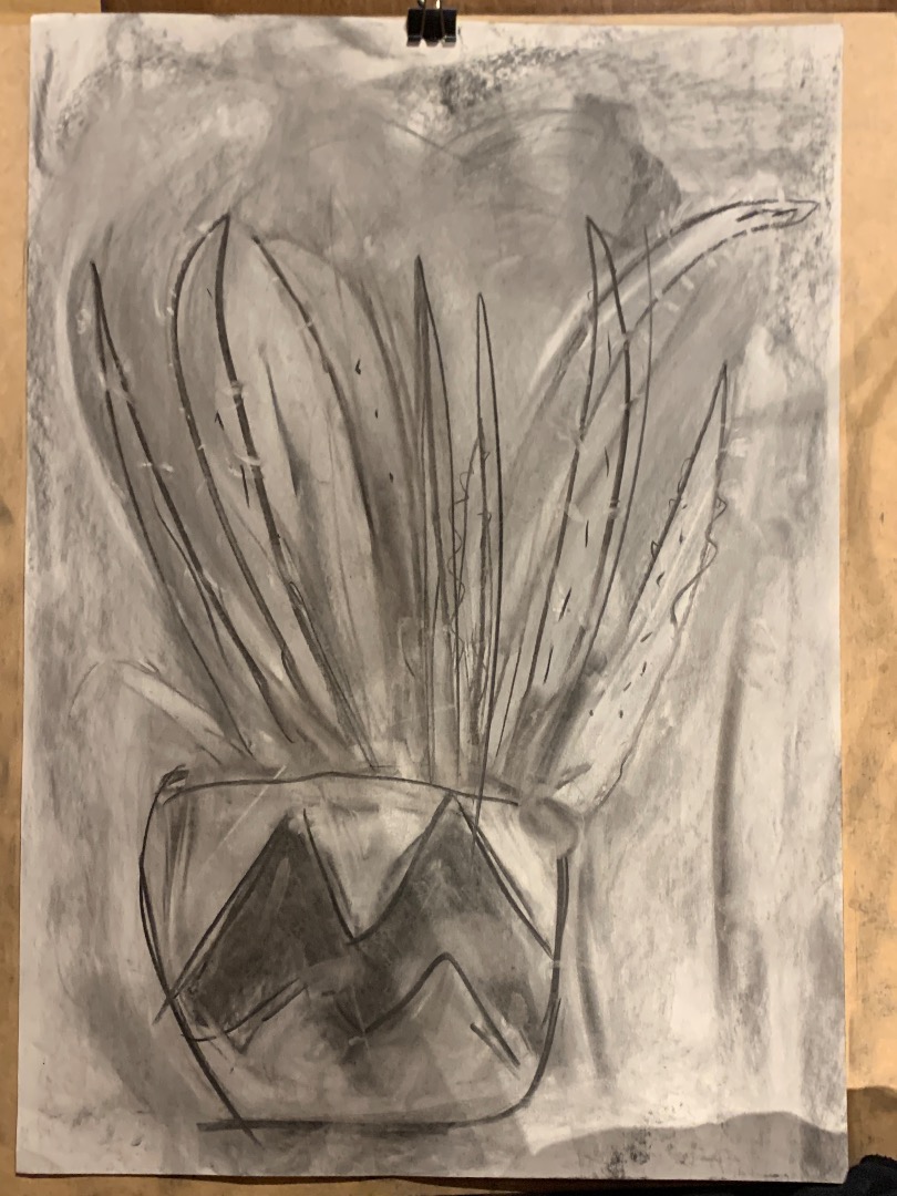 Charcoal House Plants, Kids Club