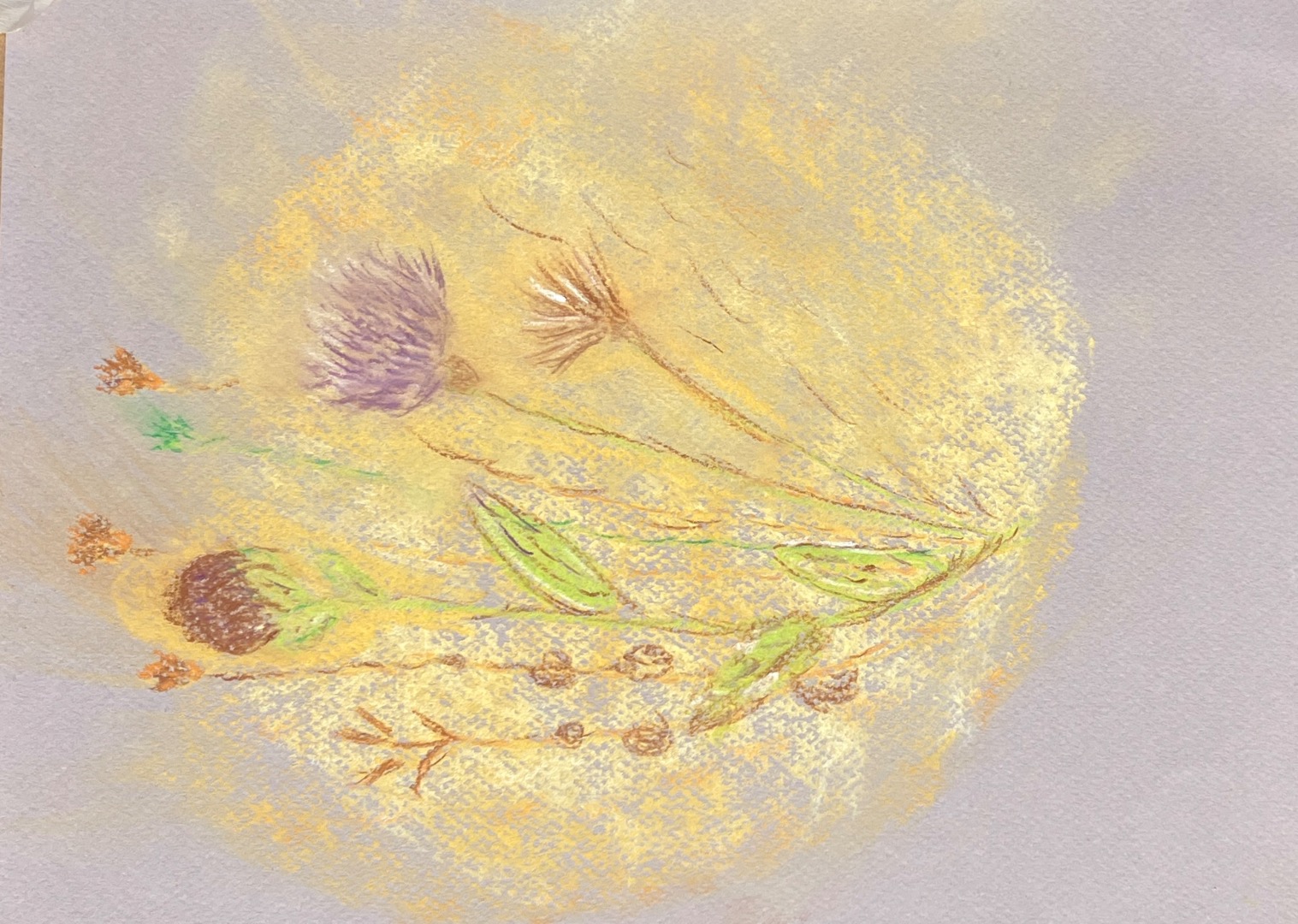 Art In The Garden, Greener Kirkcaldy, Soft Pastel