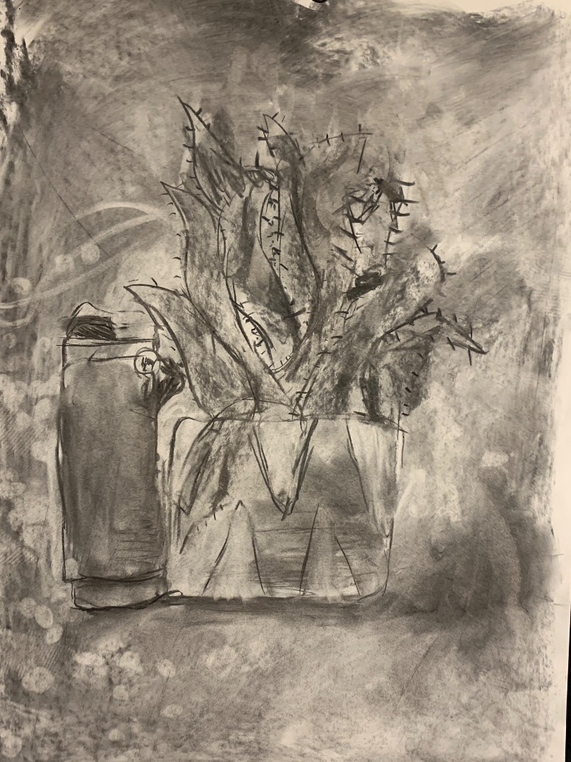 Charcoal House Plants, Kids Club