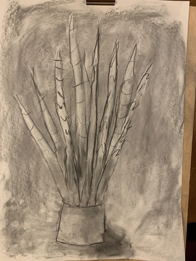 Charcoal House Plants, Kids Club