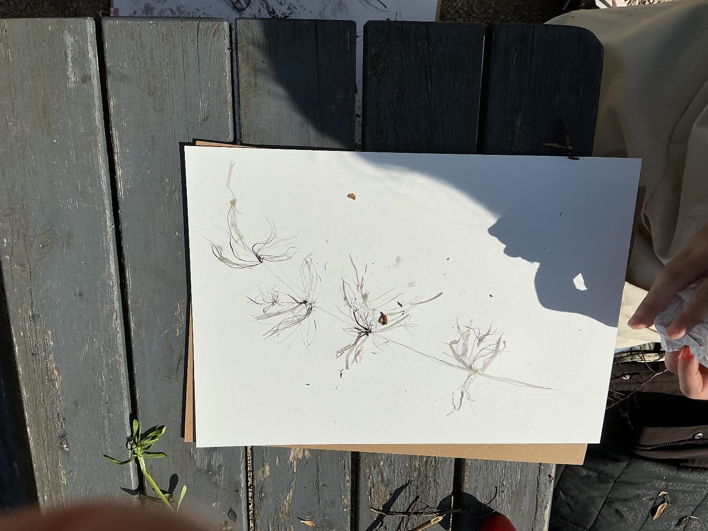 Art In The Garden, Greener Kirkcaldy