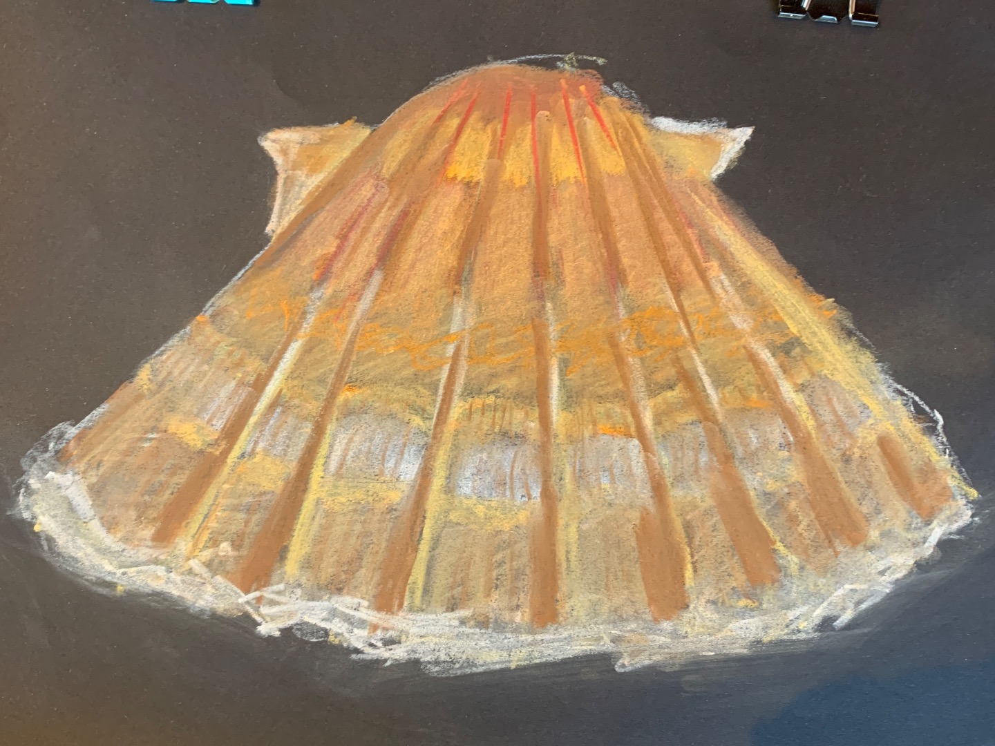 Chalk Shells