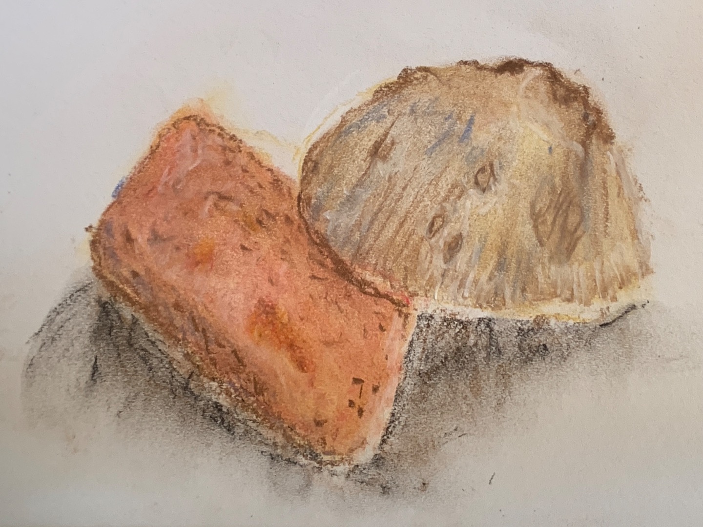 Chalk Shells
