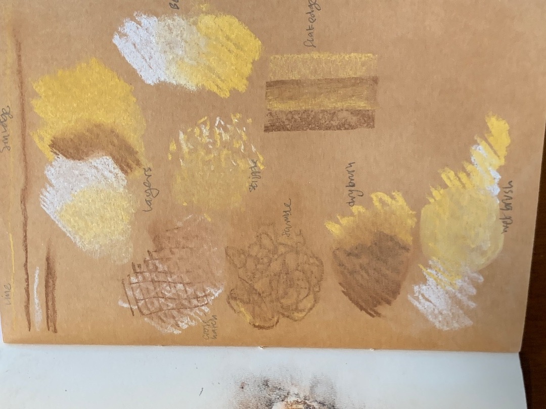 Chalk Shells