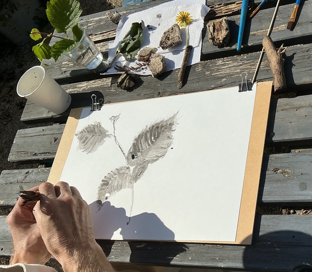 Art In The Garden, Greener Kirkcaldy