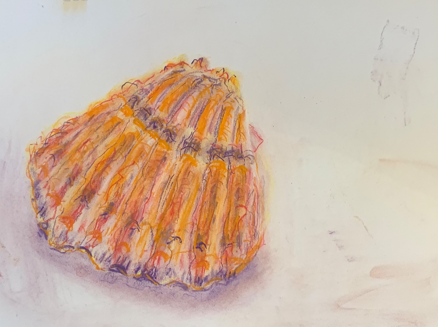 Chalk Shells