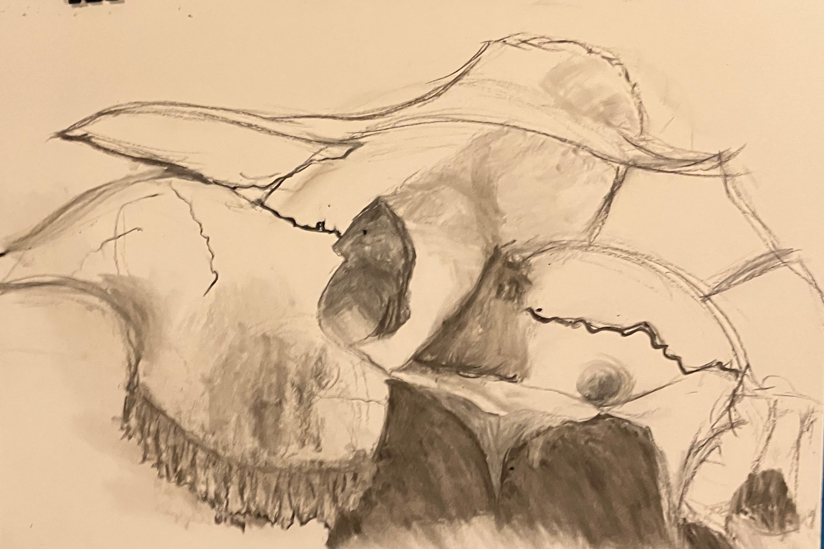 Charcoal Skulls