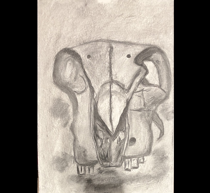 Charcoal Skulls