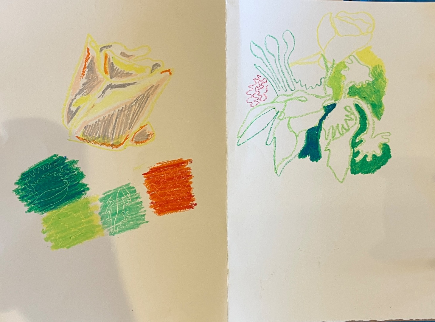 Oil Pastel Techniques, Adults D&P