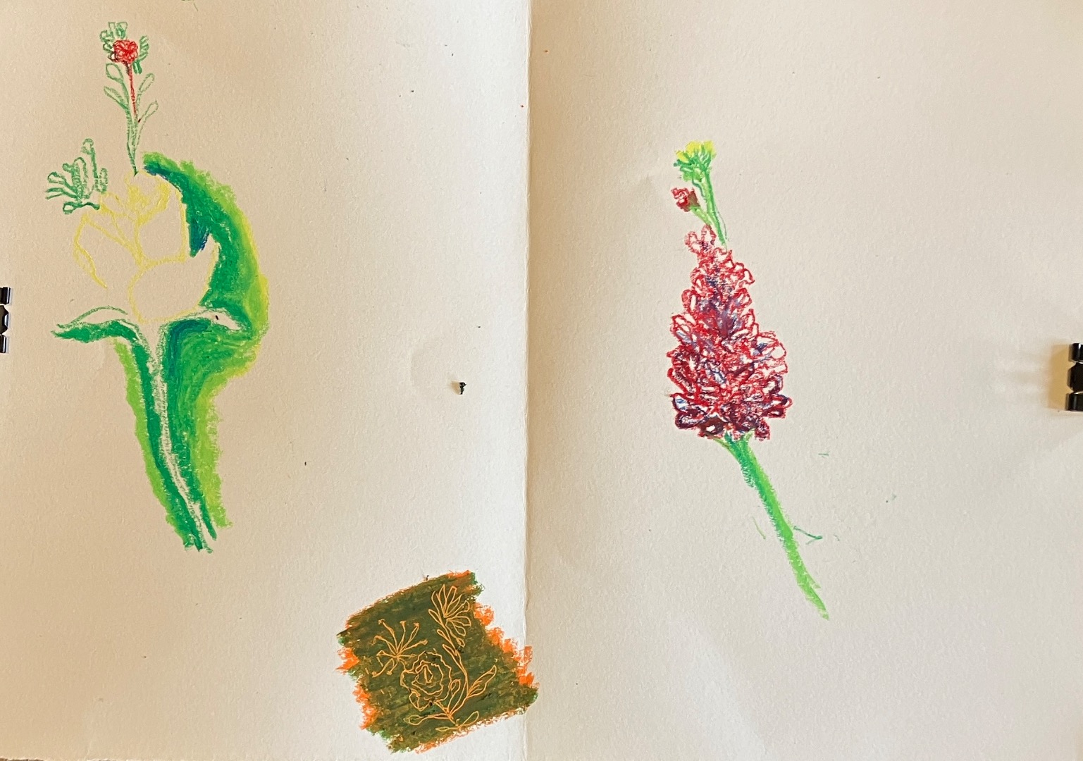 Oil Pastel Techniques, Adults D&P