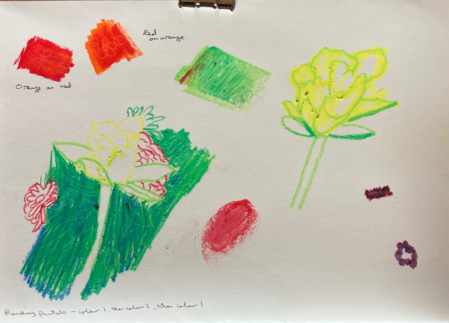 Oil Pastel Techniques, Adults D&P