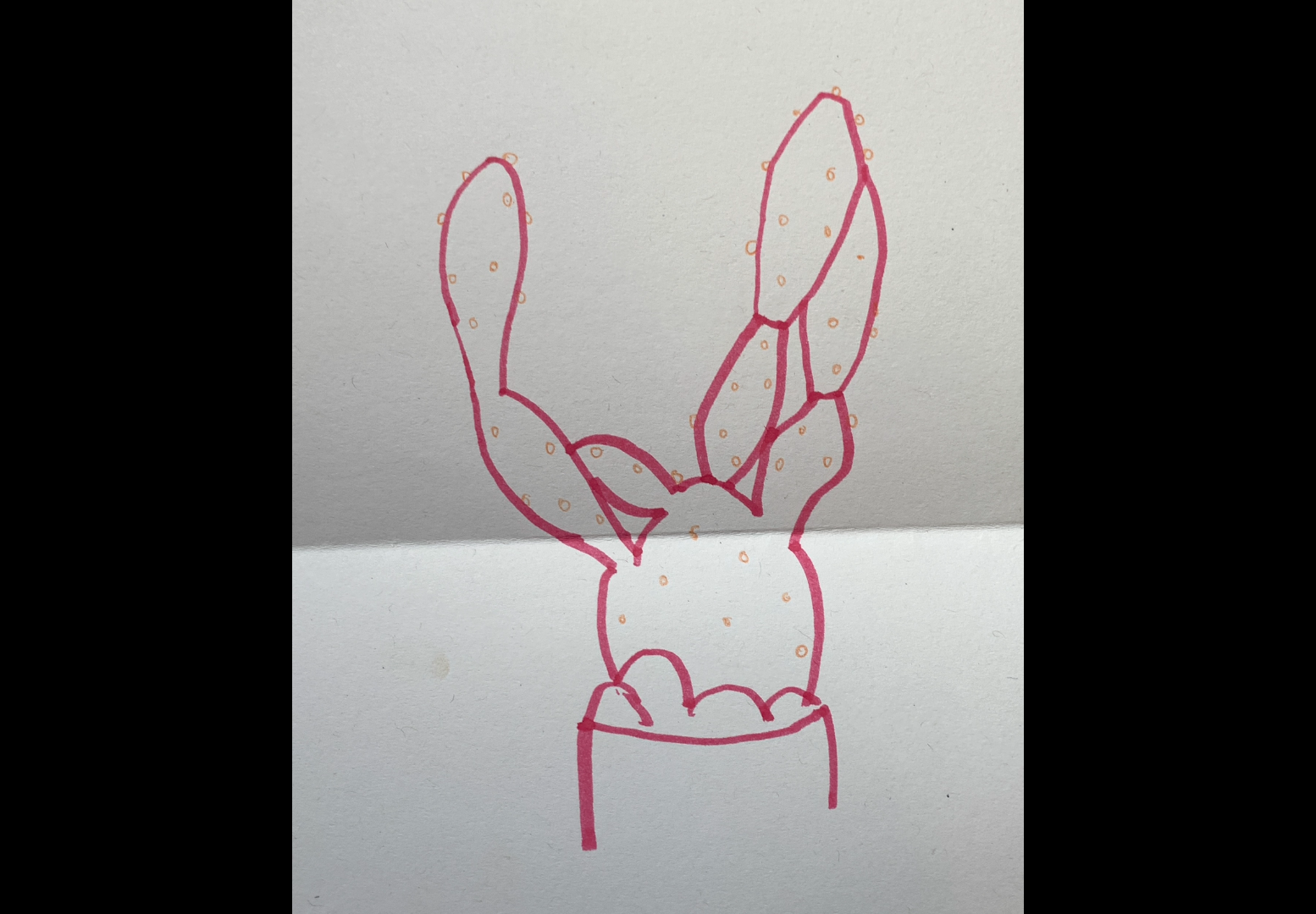 Sketch Club
