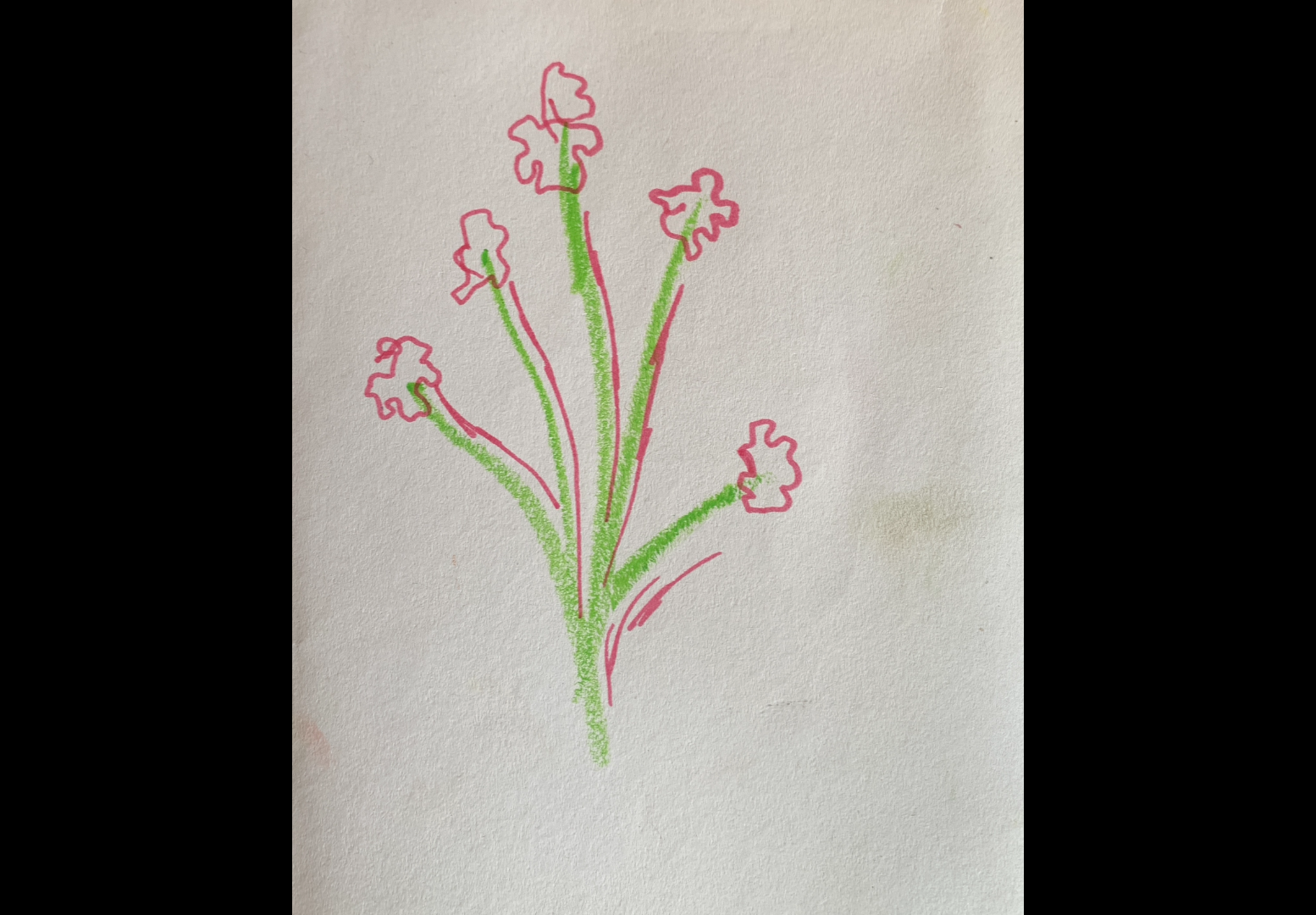 Sketch Club