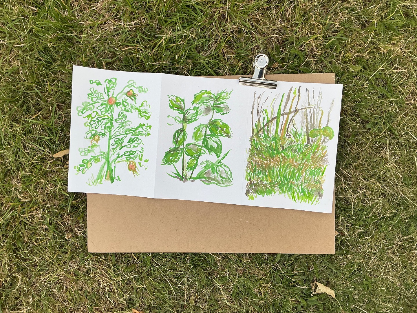 Hockney Inspired Watercolour Sketches