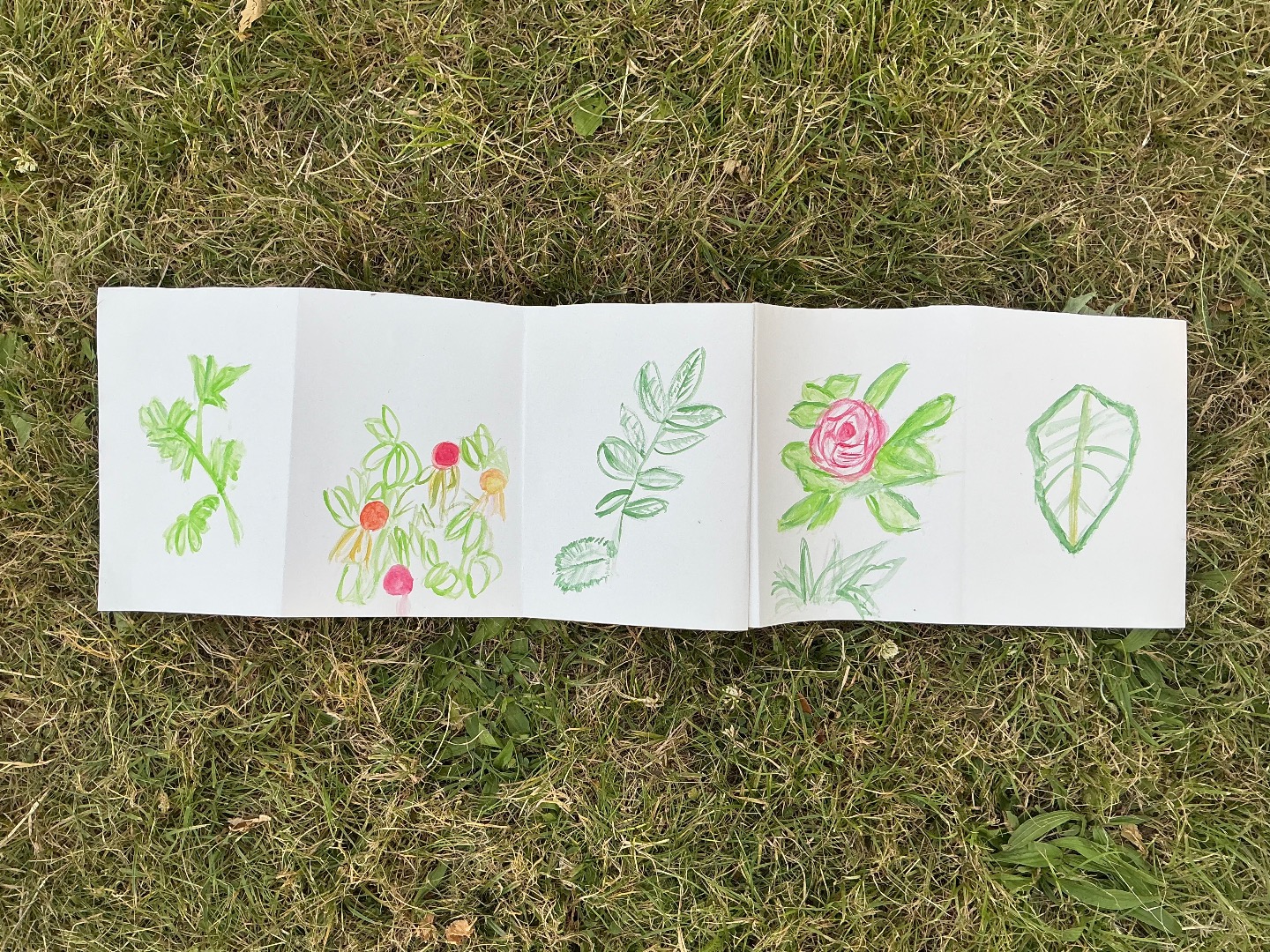 Hockney Inspired Watercolour Sketches