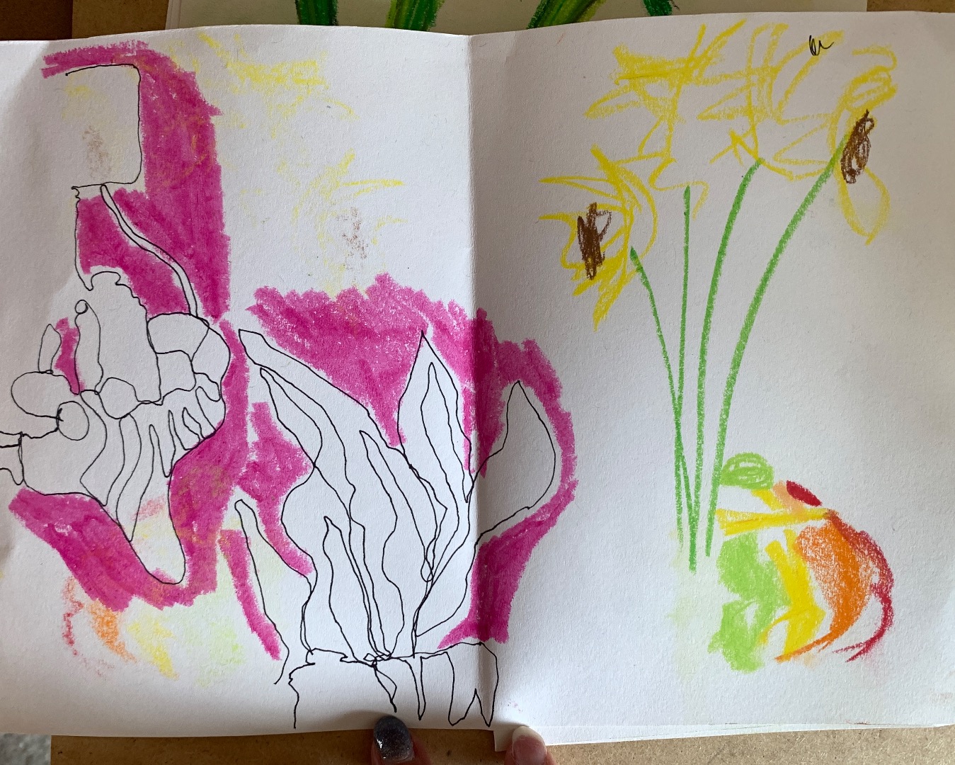Sketch Club