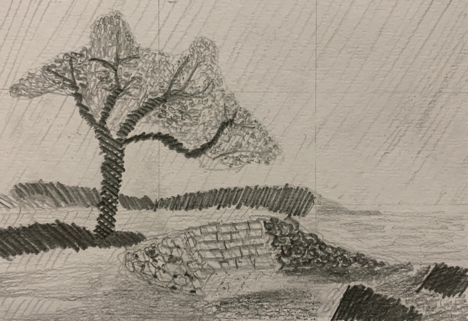 Compositional Sketches, Thursday Adult Class
