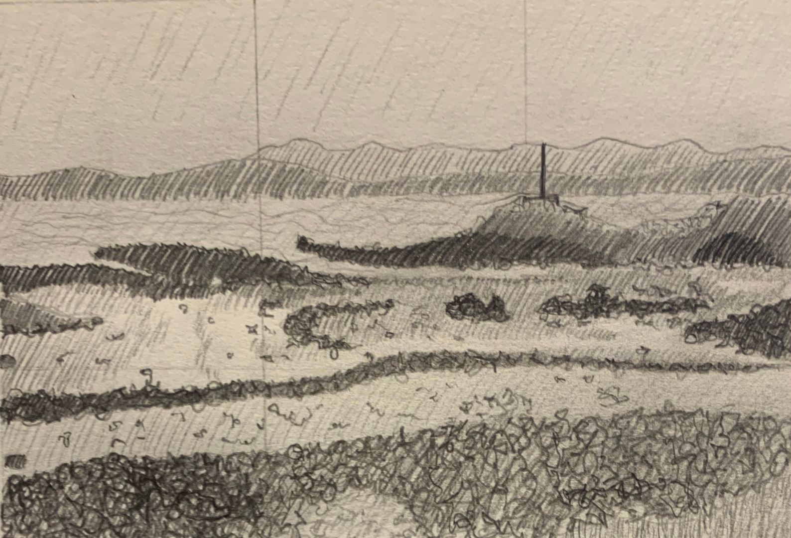Compositional Sketches, Thursday Adult Class