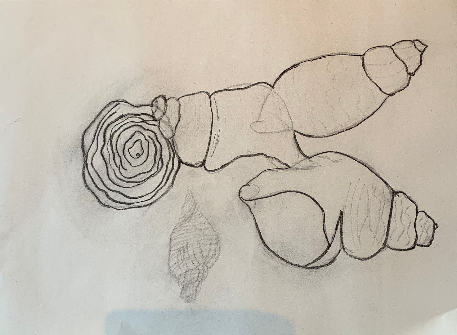Beachcomber Charcoal Workshop, Aug 25