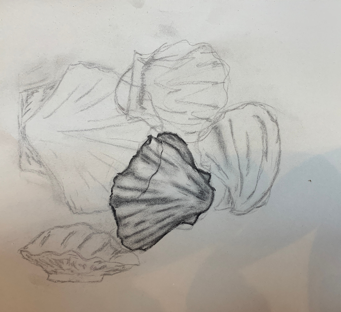Beachcomber Charcoal Workshop, Aug 25