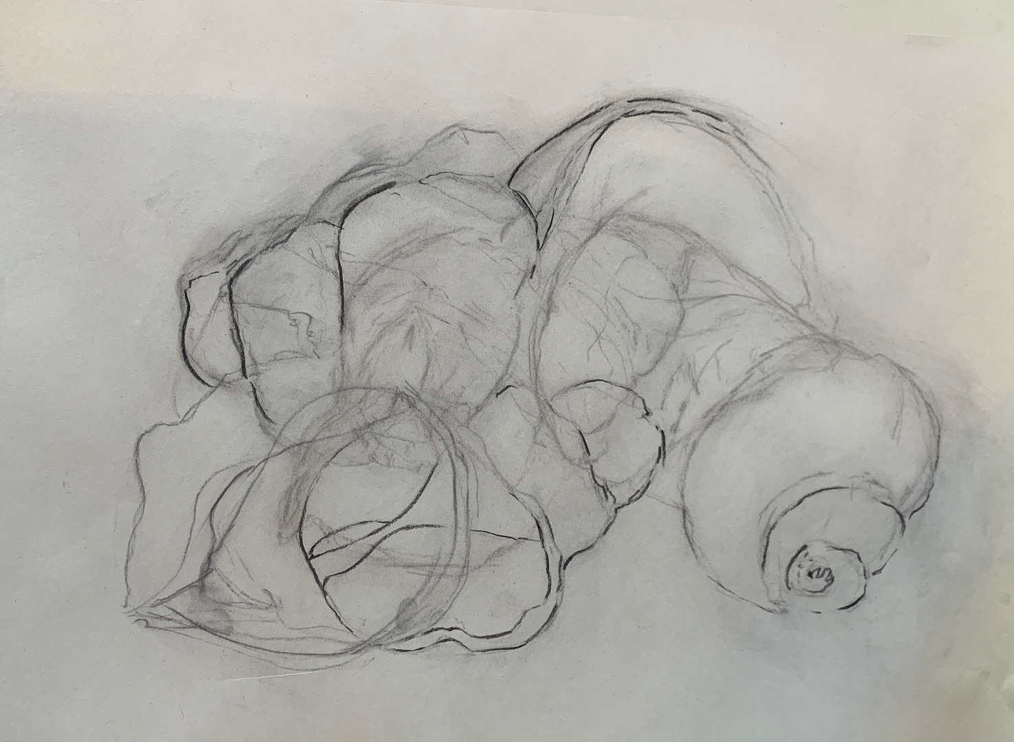 Beachcomber Charcoal Workshop, Aug 25
