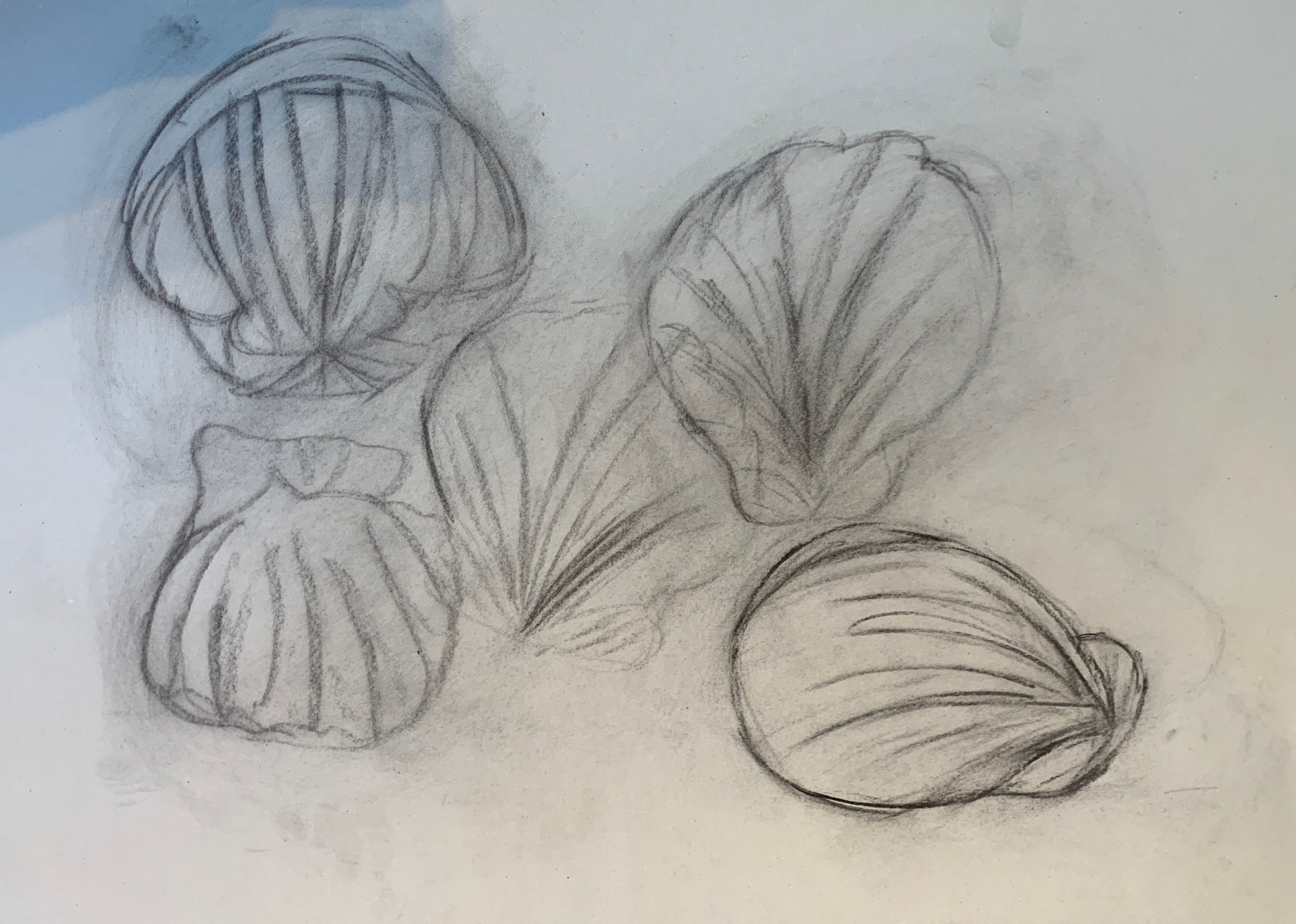 Beachcomber Charcoal Workshop, Aug 25