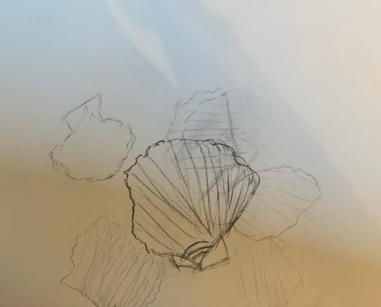 Beachcomber Charcoal Workshop, Aug 25