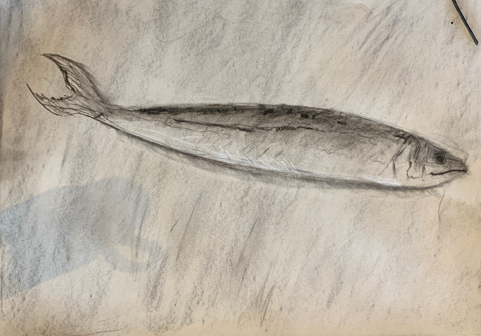 Beachcomber Charcoal Workshop, Aug 25