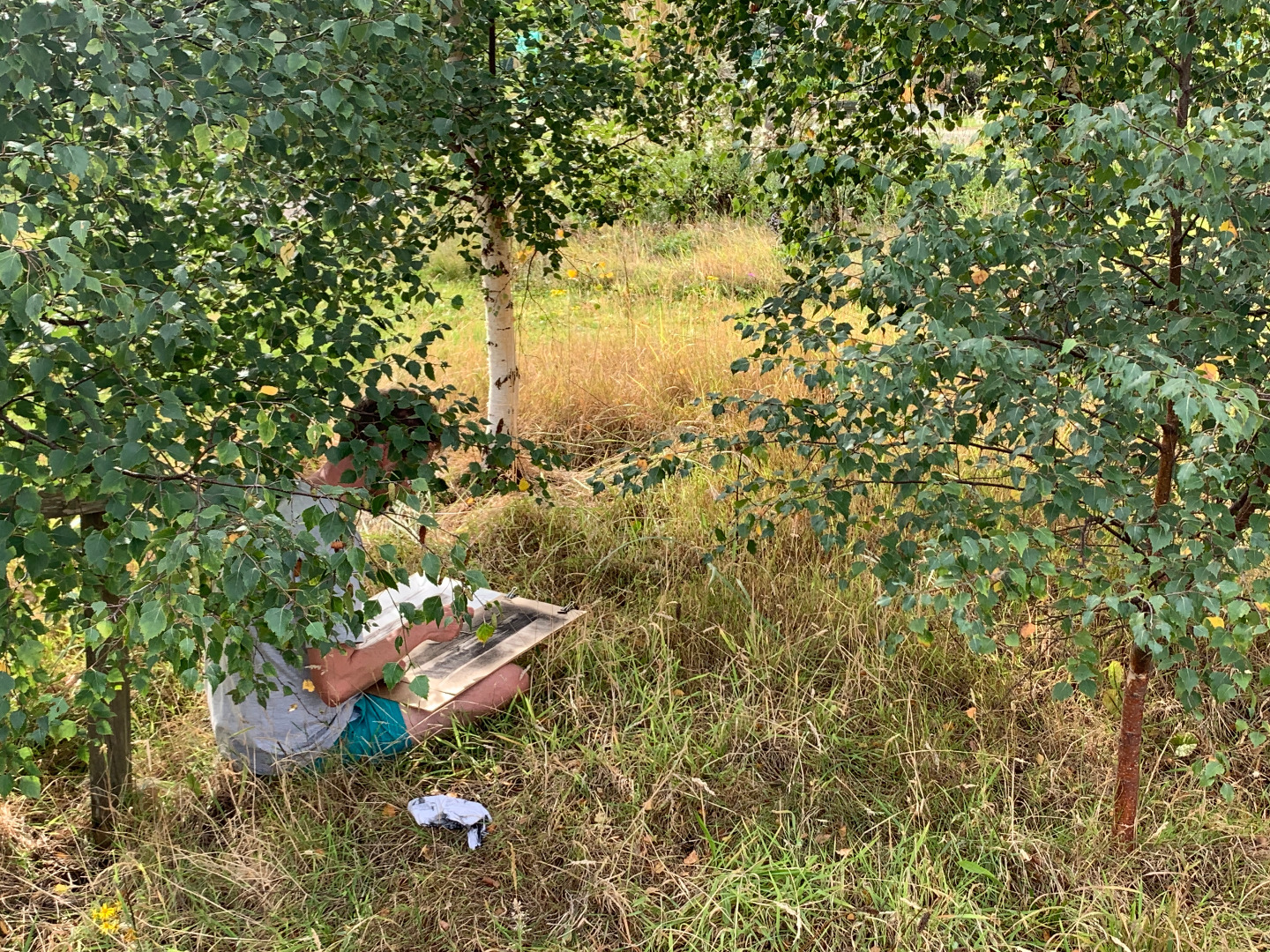 Art In The Garden With Greener Kirkcaldy