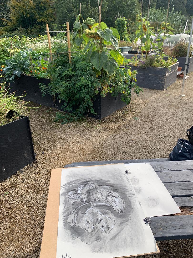 Art In The Garden With Greener Kirkcaldy