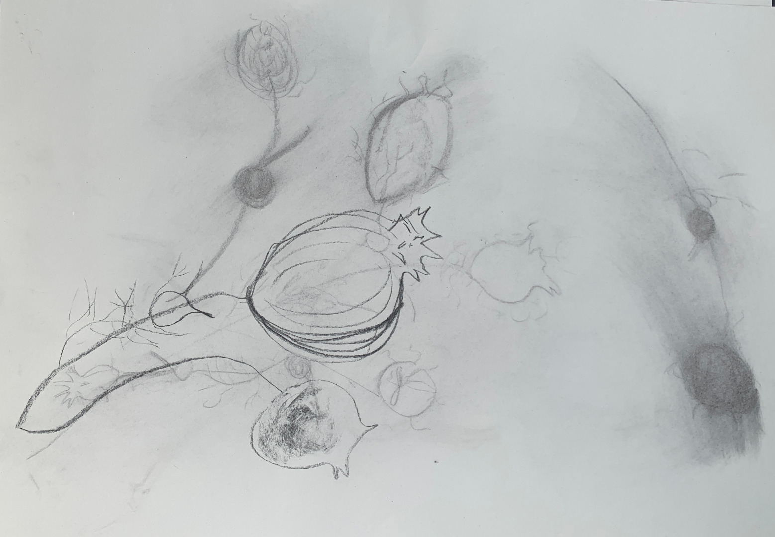 Art In The Garden With Greener Kirkcaldy